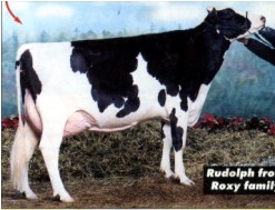 Shormar Rhonda Rae Ex 91